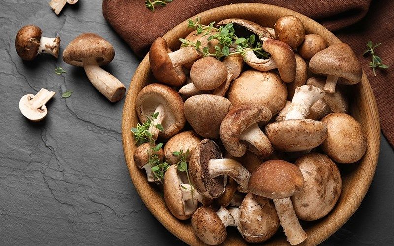 nấm hương nấm hương